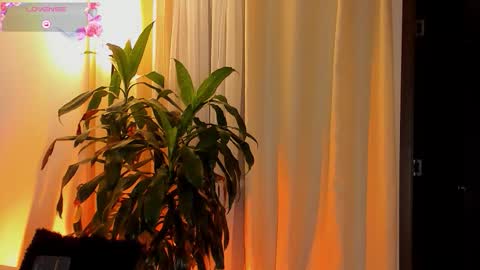 Amatista online show from 10.11.25