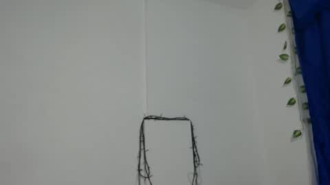 ambel_rose online show from 12.11.24