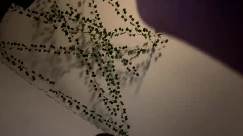 AmberIsPurple online show from 12.08.24