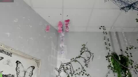 Ameli online show from 02.18.26