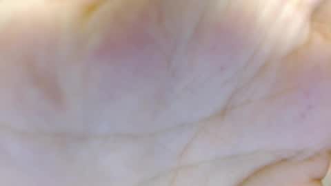 Snapshot of amelia_fry chatting on 03.05.25 amelia_fry online show from 03.05.25