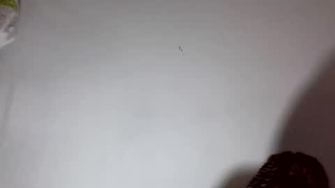 amelisy20005 online show from 02.22.26