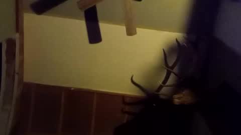 ammoman22 online show from 03.09.25