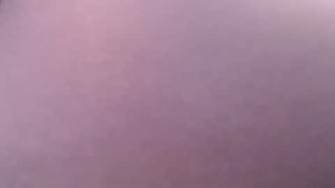 miss unforgettable online show from 02.01.25