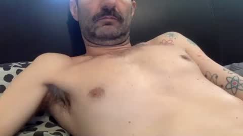 Snapshot of amued_mushroom chatting on 04.23.26 Dan online show from 04.23.26