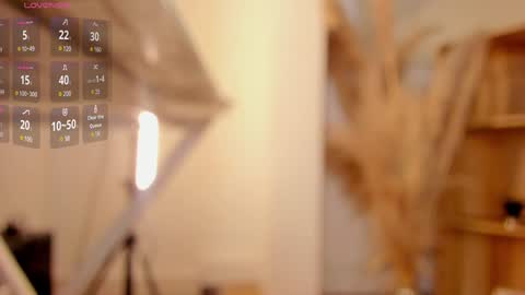     online show from 01.18.25