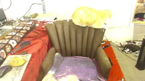 Snapshot of amyattack chatting on 04.14.26 Trashely Gimpson online show from 04.14.26