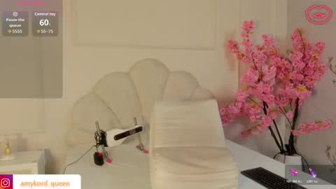 Amykord online show from 11.02.25