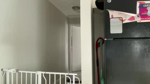 Amy Smilez online show from 12.17.25