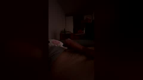 Snapshot of analpunisher2808 chatting on 03.12.26 analpunisher2808 online show from 03.12.26