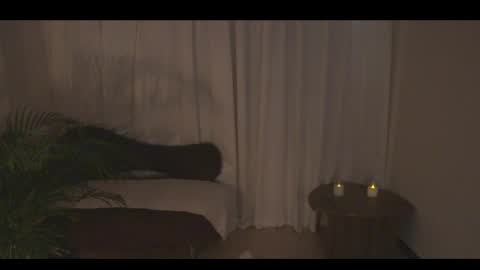 Ann online show from 04.10.26