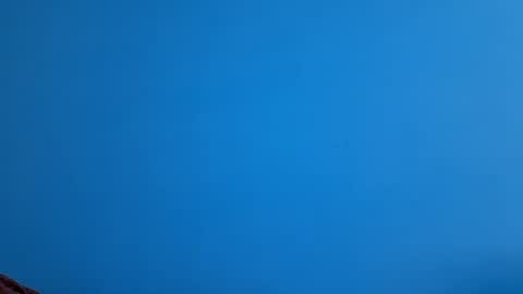 Snapshot of andemax chatting on 11.21.25 And 16.8 online show from 11.21.25