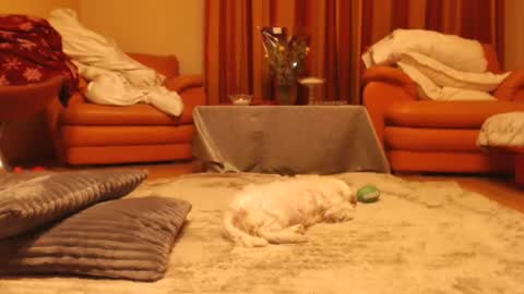 Andra online show from 11.18.25