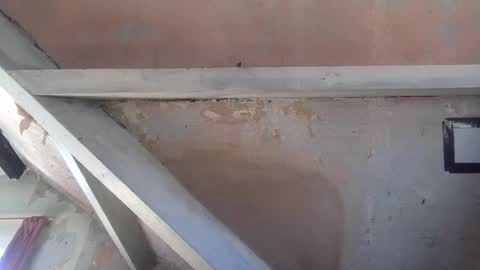 Andrew online show from 04.02.26