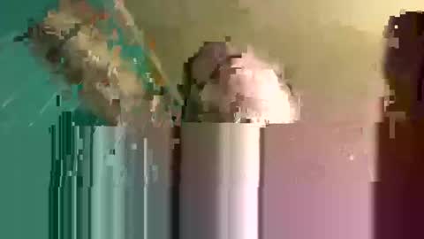 rayray32 online show from 02.17.25