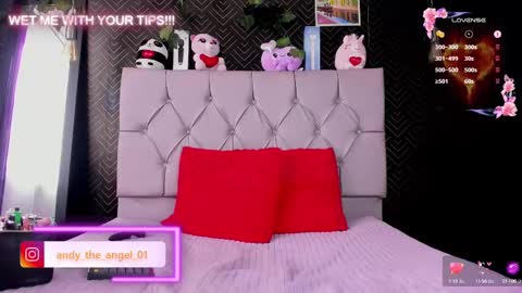 Snapshot of andy_angel1 chatting on 02.21.25 andy angel online show from 02.21.25