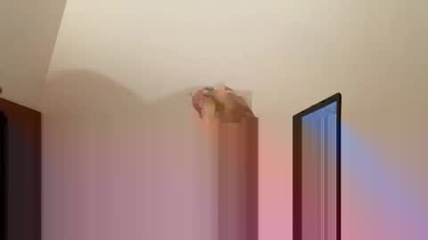 Snapshot of andysap chatting on 01.10.25 andysap online show from 01.10.25