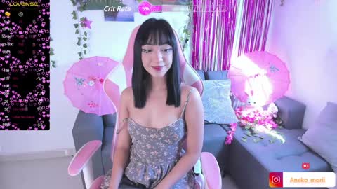 Snapshot of aneko_morii chatting on 12.12.24 online show from 12.12.24
