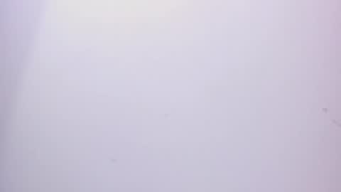 angel hardy online show from 02.15.25