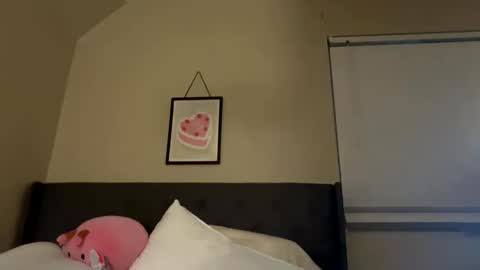 Snapshot of angelgrl444 chatting on 02.23.25 Princess Peach online show from 02.23.25