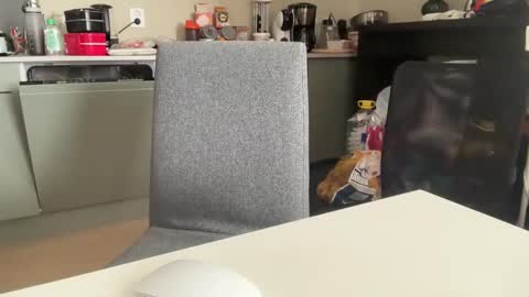 Snapshot of angelharly chatting on 03.08.25 AngelHarly online show from 03.08.25