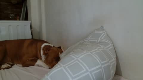 Angela online show from 02.08.25