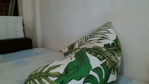 Angela online show from 02.19.25