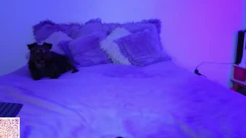 Snapshot of angie_bigboobs chatting on 04.22.26 Angie Gomez Onlyfans angie bigboobs FREE online show from 04.22.26