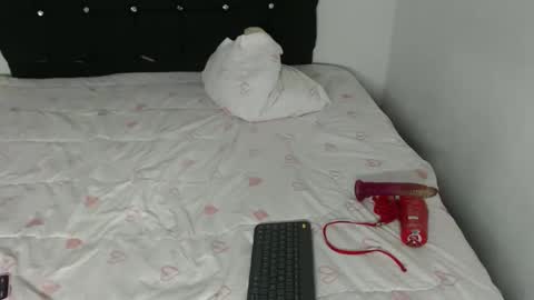 Snapshot of ani_steveson chatting on 02.26.26 ani_steveson online show from 02.26.26