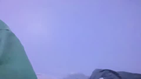 Animeboygirls online show from 02.02.26