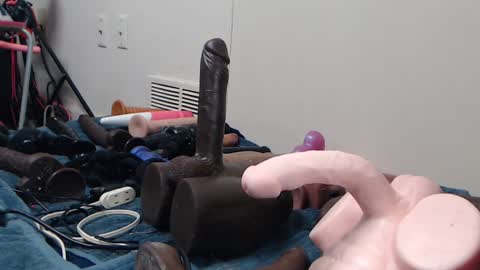 Twitter at animegamergrl. No vids for sale on Chaturbate. online show from 01.11.26