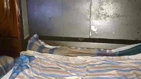 anis4551 online show from 01.12.26