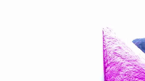 ana independent model online show from 01.15.25