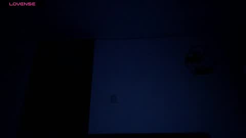 Snapshot of anitafox_ chatting on 01.12.25 Anitafoxx online show from 01.12.25