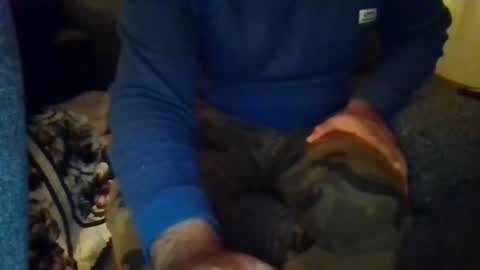 DesiGuy online show from 12.08.24