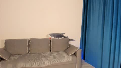 Snapshot of anna_miuu chatting on 12.05.24 anna miuu online show from 12.05.24