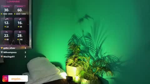 Snapshot of anne_babb chatting on 02.15.25 ANG online show from 02.15.25