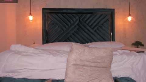 Snapshot of anne_mallow chatting on 01.08.25 Ann online show from 01.08.25