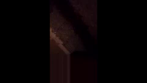 Snapshot of anniebunni chatting on 02.16.26 anniebunni online show from 02.16.26