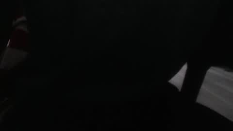 LoyalDog online show from 02.16.26