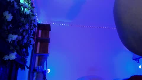 Anny online show from 01.31.26