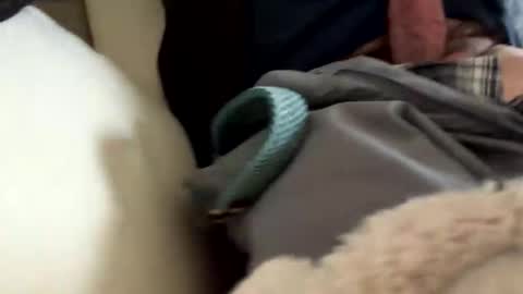 anonomousloser online show from 03.19.26