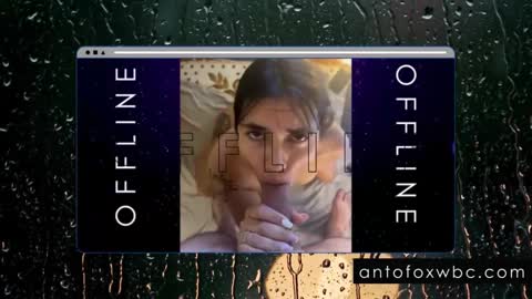 Snapshot of antofoxwbc chatting on 02.04.25 Anto online show from 02.04.25