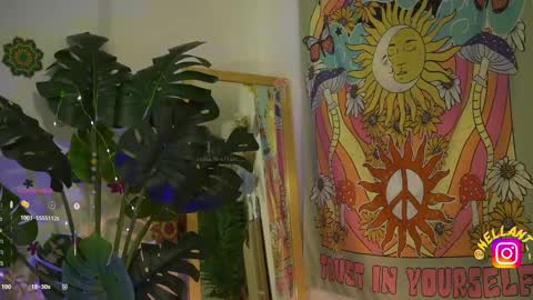 Nell. online show from 10.06.25