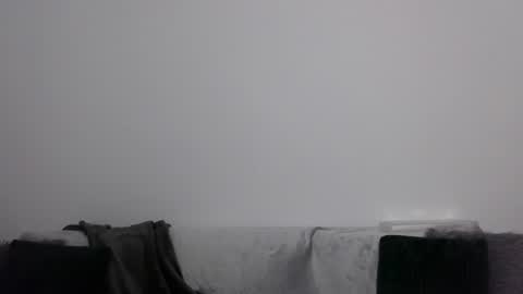 Antonia online show from 01.23.25