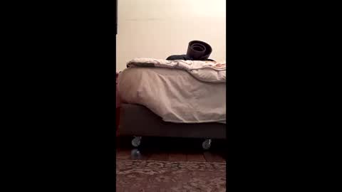 antonino85 online show from 02.10.26