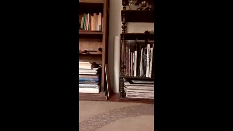 Snapshot of antonino85 chatting on 05.18.26 antonino85 online show from 05.18.26
