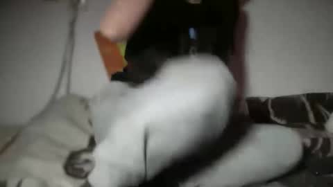 aphr0dite22 online show from 01.06.26