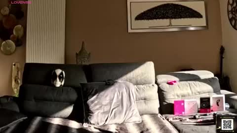 apollonfitx_69 online show from 02.01.26