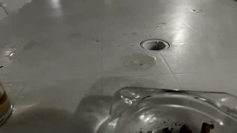 appelsapje4 online show from 11.24.25